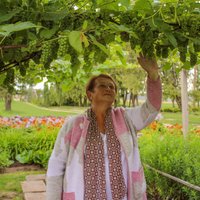 Dvietē krāšņi atdzimis Latvijas vīnogu 'pioniera' Paula Sukatnieka dārzs