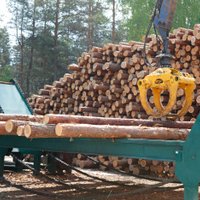 'Rīgas mežu' apgrozījums pērn pieaudzis; peļņa – 1,489 miljoni eiro