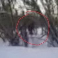 Kuzbasā bērni nofilmējuši sniega cilvēku