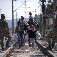 Bēgļu krīze - mīti un realitāte: Slimības, terorisms un labējais ekstrēmisms
