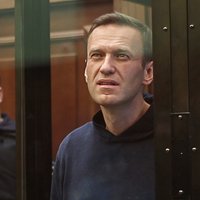 Дипломаты из Эстонии и Латвии пришли послушать суд над Навальным