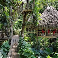 Ciemats Dominikānas Republikas džungļos, kurā mājas ir koku galotnēs