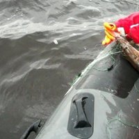 No Babītes ezera Bļodnieku līča izceļ kilometru garus maluzvejnieku tīklus
