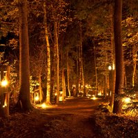 Aicina izgaismot rudeni maģiskajā Uguns naktī Vienkoču parkā