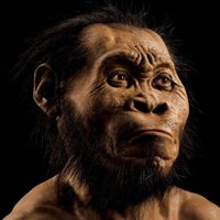 Новый вид человека Homo naledi обладал уникальными способностями