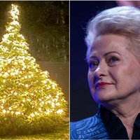 ФОТО. Бывший президент Литвы Даля Грибаускайте показала свою новогоднюю елочку
