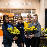 В магазинах Lidl начали работать первые украинцы, в реестре таксистов — 14 украинцев