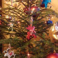No meža vai pirkta un dekorēta: kāda ir tava Ziemassvētku egle?