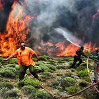 Meža ugunsgrēkos Grieķijā gājuši bojā vismaz 74 cilvēki