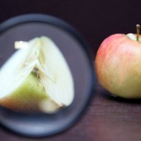 Рецепты из яблок к яблочному Спасу: от борща до пирога