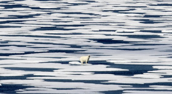 Арктика сменит цвет: в ближайшее время льда летом там почти не будет