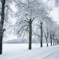 В Латвии установлен новый температурный рекорд этой зимы