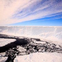 Движение гигантского айсберга поставило ученых в тупик