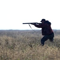 Трагедия в Латгале: сын на охоте случайно застрелил отца (ДОПОЛНЕНО)