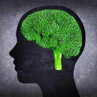 Smadzenes vislabāk darbojas, saņemot augstākās kvalitātes 'degvielu', uzsver psihiatre