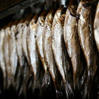 Рыбопереработчик Brīvais vilnis не прекратит работу из-за запрета на ввоз продукции в Россию