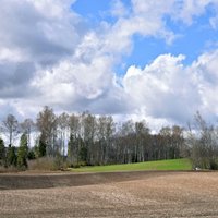 Скупать земли Латвии разрешат лишь иностранцам, хорошо владеющим госязыком