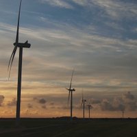 В Латвии будут построены мощные ветропарки. Часть произведенной энергии, возможно, пойдет на экспорт