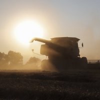 Сейм запретил импорт сельскохозяйственных продуктов из России и Беларуси