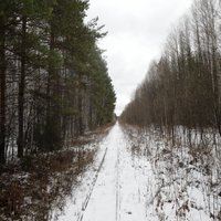 В России расследуют таинственную гибель группы студентов на перевале Дятлова
