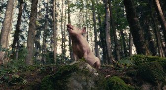 Баррикады, чуткие свиньи и живая вода. 8 лучших латвийских фильмов уходящего года