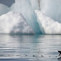Ledus kušana Arktikā sasniegusi nepieredzētus apmērus