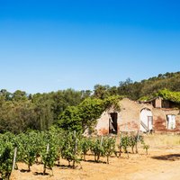 Svaigs un mazzināms galamērķis vīna tūrismā – Empordā reģions Spānijā