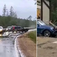Video: Spēcīgā vētra pār vairākiem ceļiem nogāzusi kokus, bloķējot satiksmi