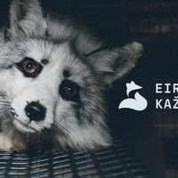 'Dzīvnieku brīvība': Latvijā visaktīvāk Eiropā pieprasa kažokzvēru audzēšanas aizliegumu