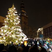 Foto: Pirmajā adventē iemirdzas Rīgas galvenās Ziemassvētku egles