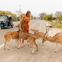 Magnētiskā Šrilanka: dzīvnieki pilsētas ielās, smaidīgi vietējie un naktsmājas par pieciem eiro