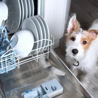 14 lietas, ko labāk nevajadzētu ievietot trauku mazgājamajā mašīnā