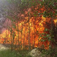 Пожар на свалке в Юрмале: Трукснис возмущен действиями ответственных служб