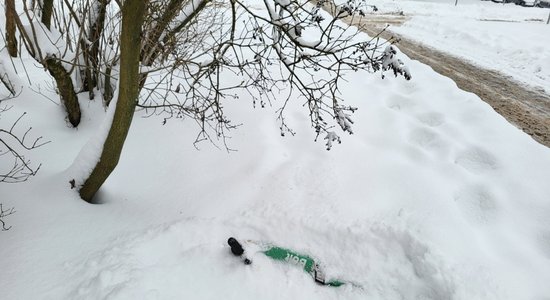 Электросамокаты Bolt в снегу. Когда их уберут?