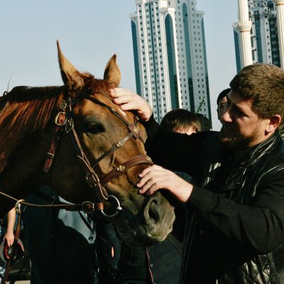 Лошади Кадырова попали под санкции: им отказываются выплачивать призовые
