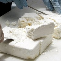 Kokaīna ražošanas apjoms sasniedzis rekordaugstu līmeni