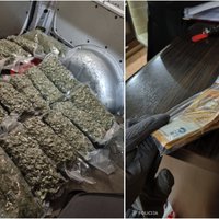 ФОТО. В Риге у группы наркодиллеров изъято 20 килограммов марихуаны и люксовый BMW