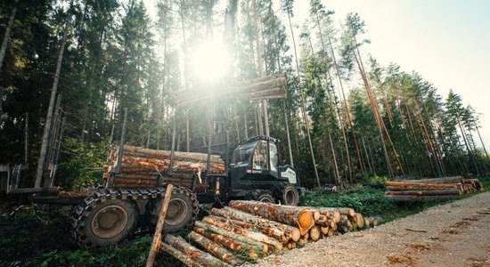 Meža nozare – nozīmīgs un stabils ekonomikas balsts