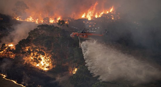 Лесные пожары в Австралии как магнит для фейковых новостей