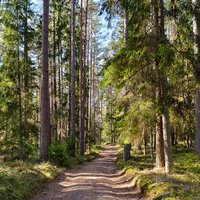 10 природных троп Латвии, на которых стоит побывать этим летом