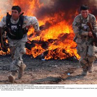 ASV narkotiku apkarošana Afganistānā cietusi neveiksmi, secina pētījumā
