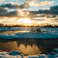 Foto: Ziemīgs un skaists saullēkts Ķemeru purvā