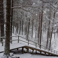 Foto: Vieta, kur gūt ziemas pasakas atmosfēru – Ragakāpas dabas parks Jūrmalā