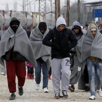 Латвия приняла 23 беженца. В стране остались двое — остальные уехали