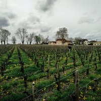 Vīna upes siera krastos – atspirdzinošs ceļojums pa Bordo reģionu