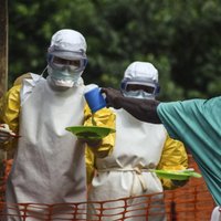 Вакцину от смертельного вируса Эбола создадут в 2015 году