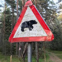 Потерянный остров. Рухну: знак медведя, шведские семьи и латышские стрелки
