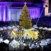 ФОТО. Как выглядит главная елка Литвы - впервые с 2010 года в центре Вильнюса нарядили живое дерево