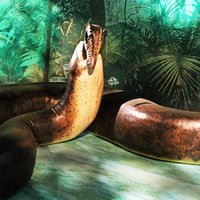 Cik gara bija lielākā čūska pasaulē?