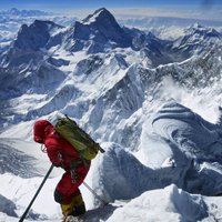 Впервые за 41 год Эверест не покорился людям и убил рекордное число альпинистов